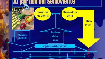 [ID: WKGJOyC9osU] Youtube Automatic