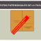 FUSIONES Y ADQUISICIONES
