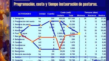 [ID: y9Q9xxlNsXg] Youtube Automatic