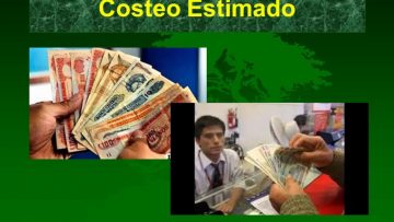 OPCIONES DE COSTEO CV