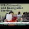 H-1B Visa Workers Could Lose Legal Status by June