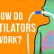How do ventilators work? – Alex Gendler