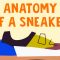 The wildly complex anatomy of a sneaker – Angel Chang
