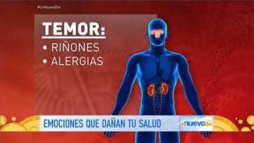 Private: [ID: CHG2OFBKs8Y] Youtube Automatic