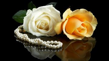 Private: [ID: F30G1hsjV_o] Youtube Automatic