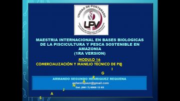 Private: [ID: Lvx8v31j51c] Youtube Automatic