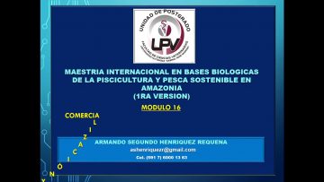 Private: [ID: q4K6xs3C4oA] Youtube Automatic