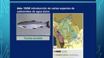 Private: [ID: rTU0D3d6fOs] Youtube Automatic