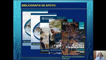 Private: [ID: tHRH19tEU6A] Youtube Automatic