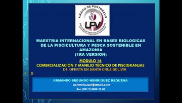 Private: [ID: xRWQ0hhio1Q] Youtube Automatic