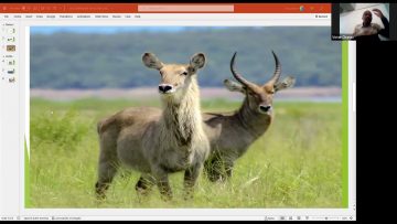 [ID: QVxlybX1bAA] Youtube Automatic