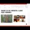 Economia Local perspectiva historica principios y ejemplos por Tobias Roberts