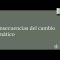 Introduccion al cambio climatico y el net zero por Belen Silva
