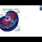 Cell biology in detail by Muhammad Usama