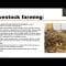 Carbon offset project in the agriculture by Ratsimbazafy Niavo