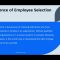 Employee selection and Assessment by Silvana Mici