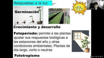 [ID: j-XZoj4bqqA] Youtube Automatic