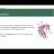 Multilingualism by Bojana R