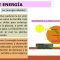 Explorando el Flujo de Energía en la Biosfera y su Impacto Futuro en la Agricultura por Carmen Sol S