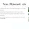 From Cells to Systems Exploring Medical Science by Muhammad Usama J