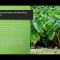 Perennial Agriculture Solutions by Tobias R