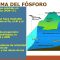 Explorando los Ciclos Biogeoquímicos en Nuestro Planeta por Carmen Sol S