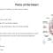Cardiovascular System & Associated Diseases by Muhammad Usama J