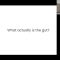 Gut Health by Rebecca T