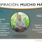 Psicología MT por Manuel A P