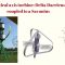 Wind Power An Overview by Abdulqader Mohammed