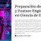 Preparación de Datos y Feature Engineering en la Ciencia de Datos por Nicolás Matías V