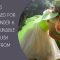 Imagination Unlocked: Does Montessori Foster Fantasy and Creativity? by Heather W