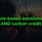 Nabused Project and Carbon Credit Project by Niavo Landihajaina R