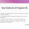 JavaScript Frameworks : Angular JS and Next JS by Jay Bachahally