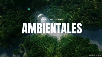 [ID: ELWamC8YX9c] Youtube Automatic