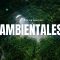 Criminología Verde: El Delito Ambiental y su Impacto en la Justicia Global por Magaly Q