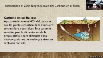 [ID: SkMkVZ2bq0w] Youtube Automatic