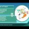 Essential Skills for Project Management – II by Muhammad S