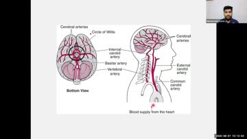 [ID: Aa3OFVD9VHg] Youtube Automatic