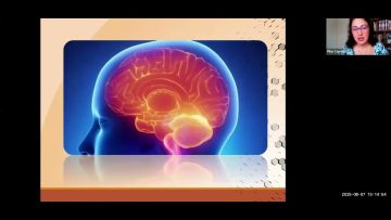 [ID: kOtrrr3Hh1o] Youtube Automatic