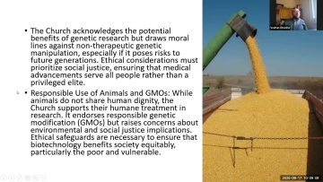 [ID: 8OalpbjJnEs] Youtube Automatic