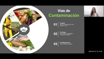 [ID: ZooASCdnqNY] Youtube Automatic