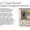 Technofeudalism: The Natural Succesor to Late Capitalism? by Tobias R