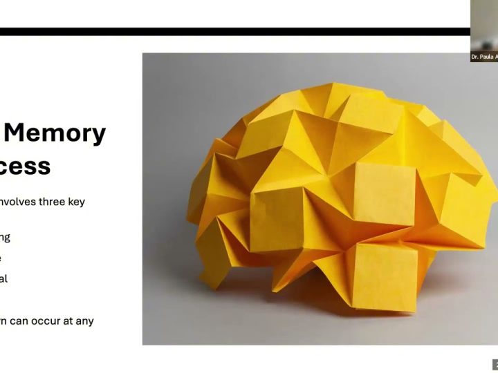 [ID: zGzkPD_PiDA] Youtube Automatic