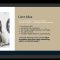 Digital Products & Passive Income Systems