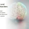 Neuropsychology of Neurodevelopmental