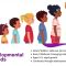 The Brain’s CEO Nurturing Executive Function